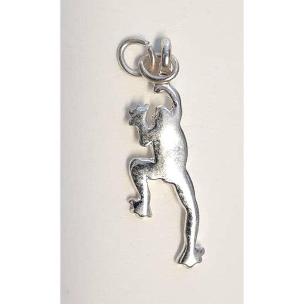 New‎ Frog Charm Pendant Unisex Small Silver Tone Climbing Tree Frog Amphibian